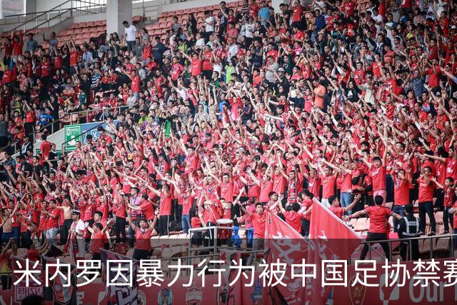 米内罗因暴力行为被中国足协禁赛三场并罚款15000元